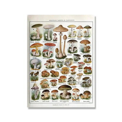 Vintage-style decorbites™ wall art featuring adolphe millot encyclopedia mushroom illustrations in soft earth tones