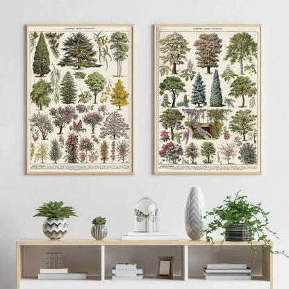 Two framed decorbites botanical vintage encyclopedia prints wall art with adolphe millot encyclopedia tree illustrations in muted tones