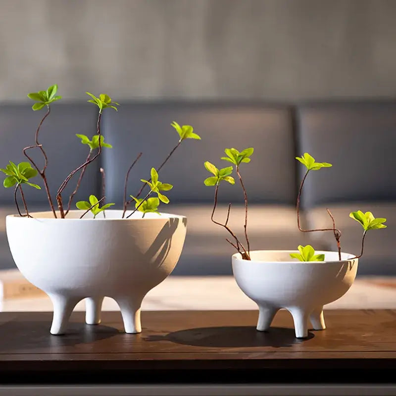 Two minimalist white ceramic flower pots with tripod stands each holding delicate green sprouts by DecorBites™