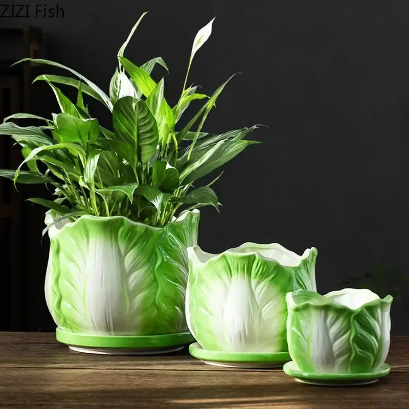 Set of three green and white gradient ceramic vase decorbites chinese cabbage planters with matching saucers for room decor
