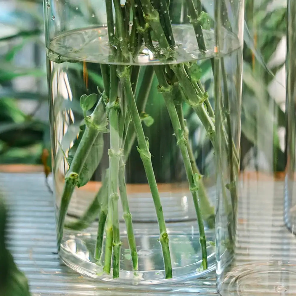 DecorBites clear acrylic cylinder vase holding green plant stems submerged in water for weddings