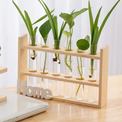 DecorBites™ light wood test tube vases holding six clear glass test tube vases with green plants