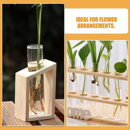 Clear glass test tube vase by DecorBites nestled in a light wooden frame holding water and plant roots for tube vases