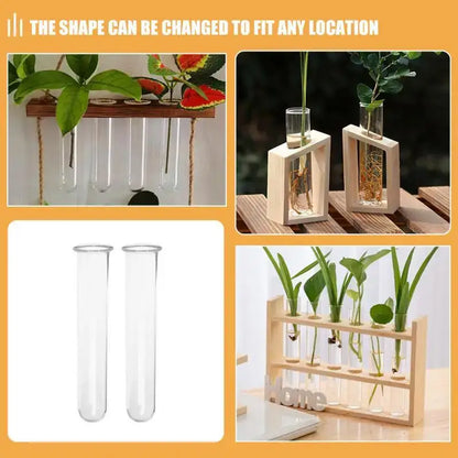 Clear glass test tube vases by decorbites displayed in wooden holders and standalone for indoor plants and tube vases decor