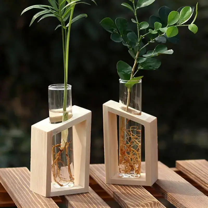 DecorBites™ clear glass test tube vases with wooden frames holding small plants with visible roots in water