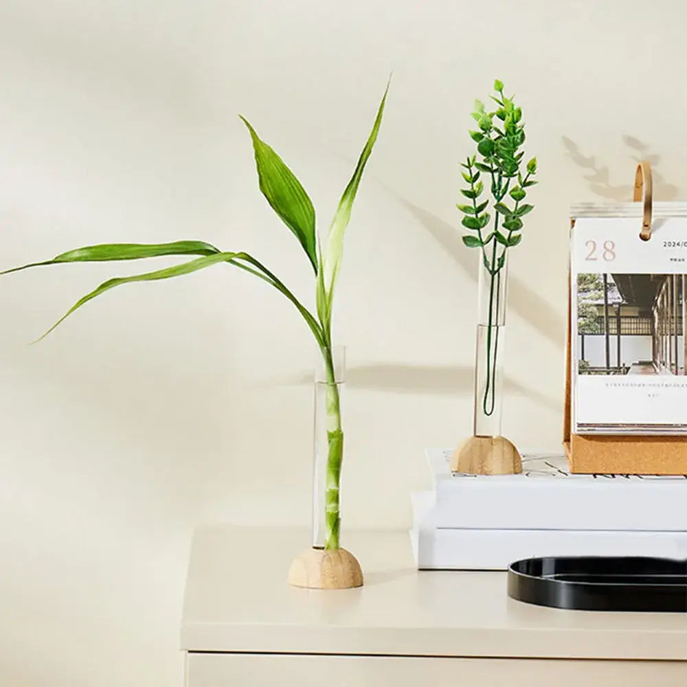 A slender green bamboo plant in a clear nordic plastic vase for hydroponic flowers on a wooden base