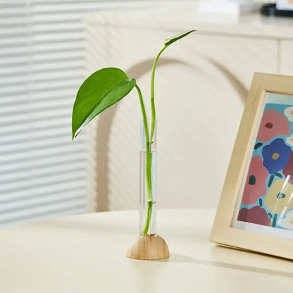Decorbites clear vase with bamboo base holding a single green leafy stem as a hydroponic vase tabletop decoration