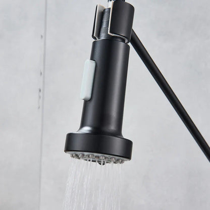 Black matte decorbites dual function kitchen sprayer head with pull-down faucet and white rectangular button on handle