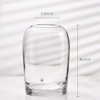 Decorbites™ elegant european ins glass flower vase with clear rounded bulbous body and flat base for floral display