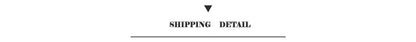 Shipping detail text in black centered above a line on the back side of decorbites™ f1 monaco imola track canvas art print