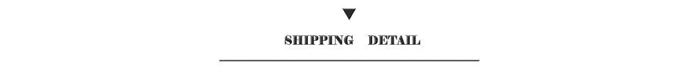 Shipping detail text in black centered above a line on the decorbites™ f1 track circuit canvas painting art print