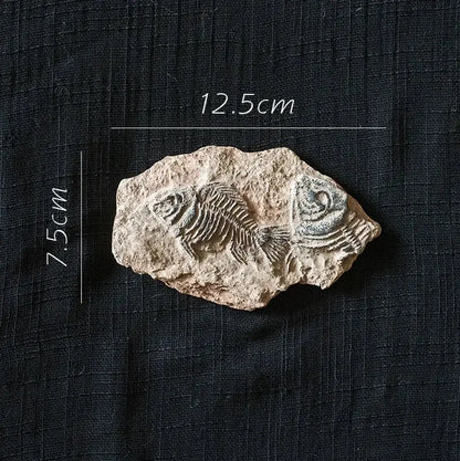 Beige fossilized fish sticker from decorbites fossil series art showcasing detailed skeletal structure for kitchen decor