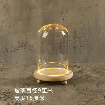 Decorbites glass bell jar terrarium with clear glass dome and warm led light ring on natural wood base