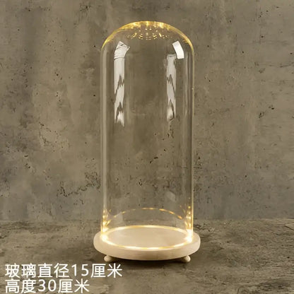 Decorbites™ glass bell jar terrarium with led light featuring a clear dome and warm golden illumination on marble base