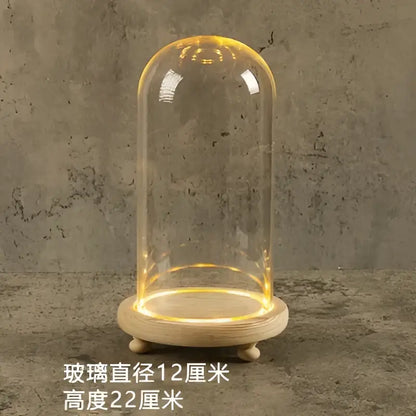 Decorbites™ glass bell jar terrarium with warm glowing led light inside clear glass dome and wooden base