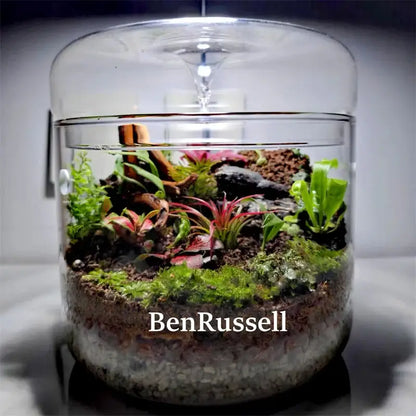 DecorBites™ glass bottle terrarium kit featuring a clear cylindrical micro landscape glass with green and reddish plants