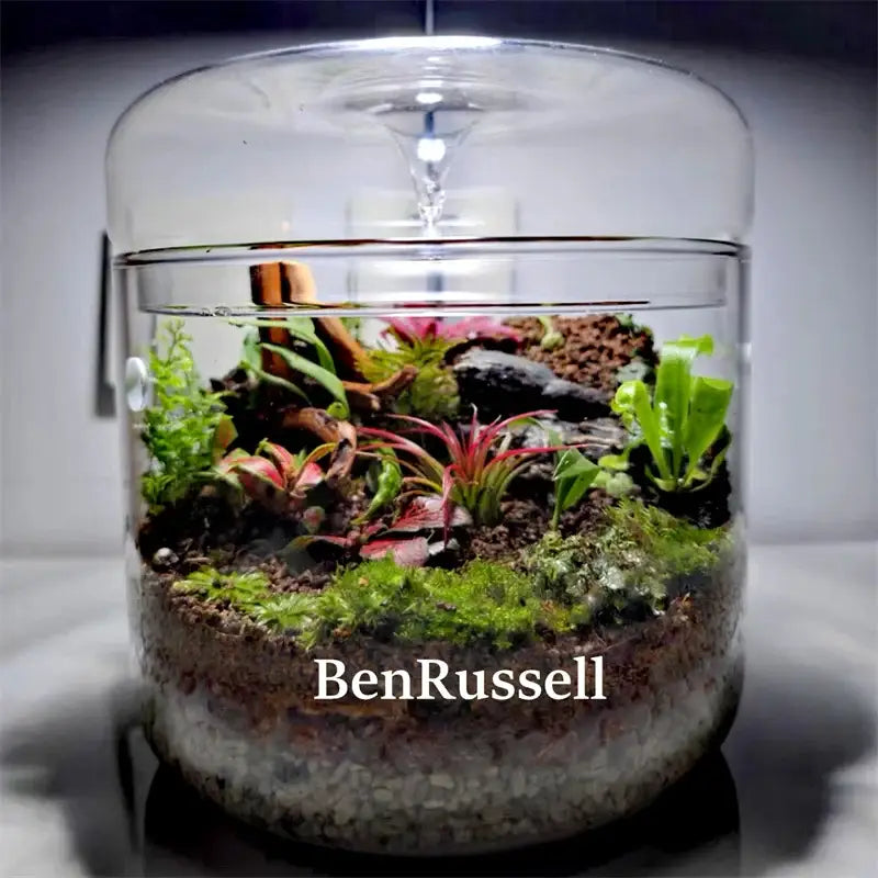 DecorBites™ glass bottle terrarium kit featuring a clear cylindrical micro landscape glass with green and reddish plants