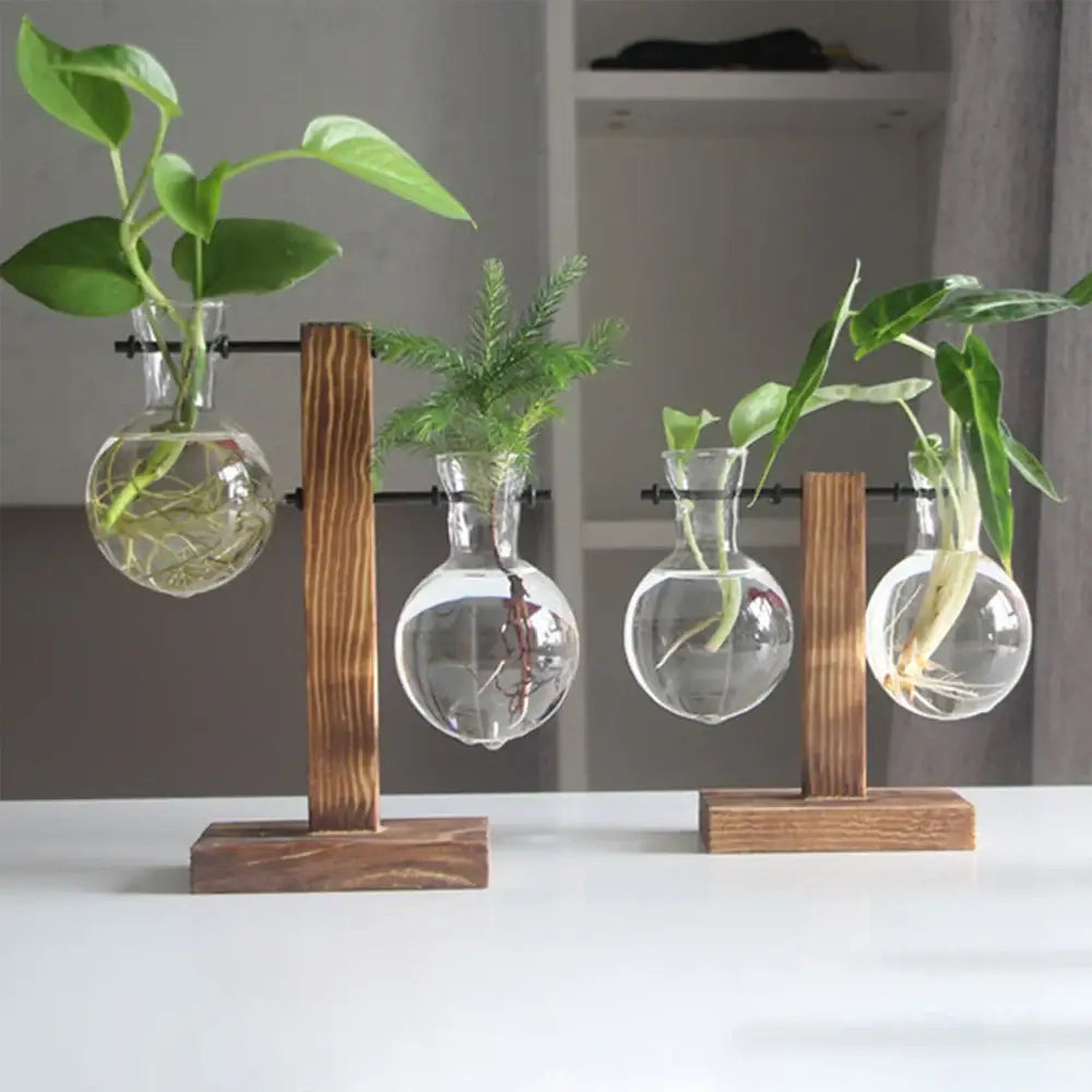 Set of four clear glass bulb vases with wooden stands each containing a different green plant by decorbites