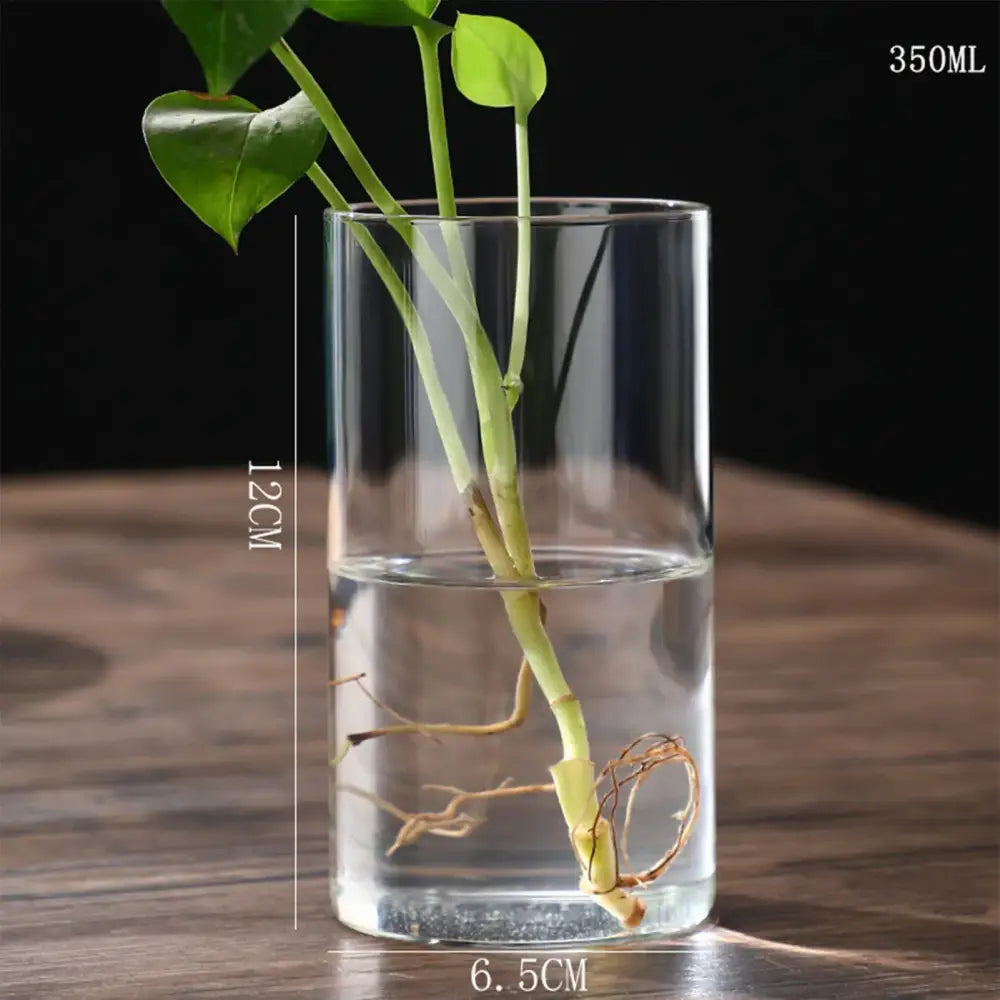 DecorBites™ glass vase hydroponic planter vase clear cylindrical 350ml capacity 12cm height with green plant stems and roots