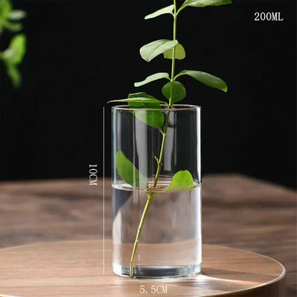 DecorBites glass planter vase with cylindrical shape holding water and a green plant stem for hydroponic display