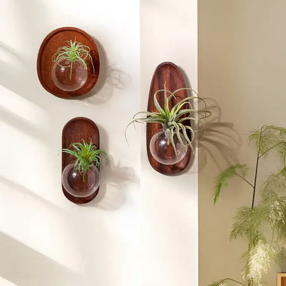 Dark wood decorbites glass vase wall-mounted flowerpot with clear glass spheres for home décor and hydroponics