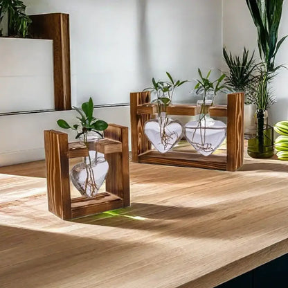 DecorBites™ heart hydroponic plant glass vase with visible roots in a rustic wooden frame terrarium