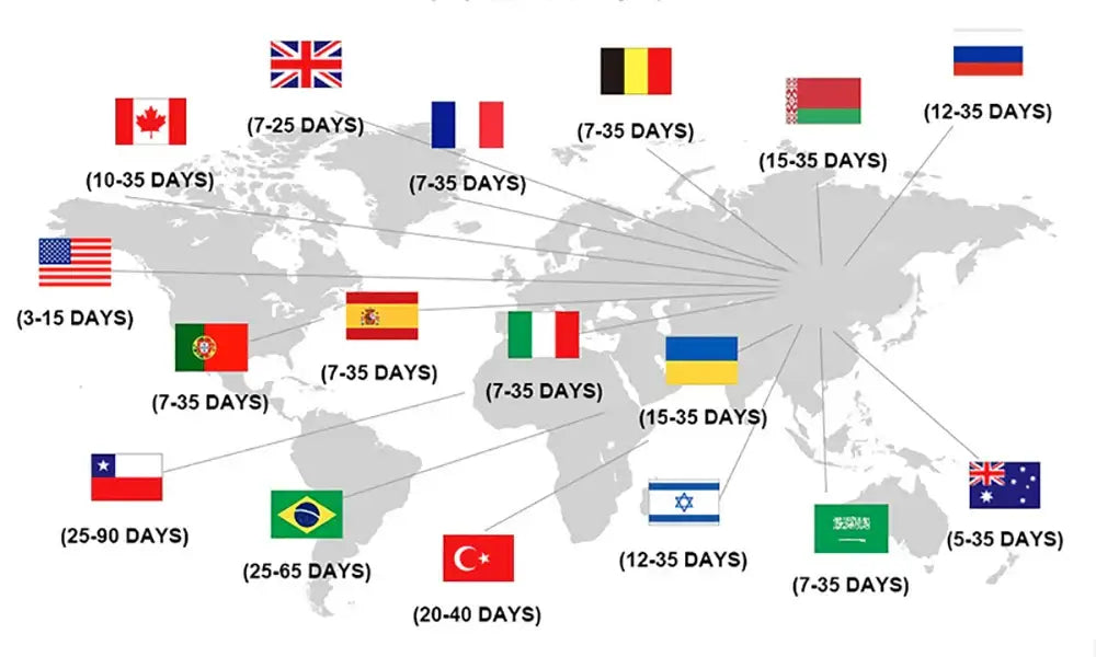 Gray world map with national flags and delivery times displayed alongside decorbites™ hand painted black and white abstract wall oil painting