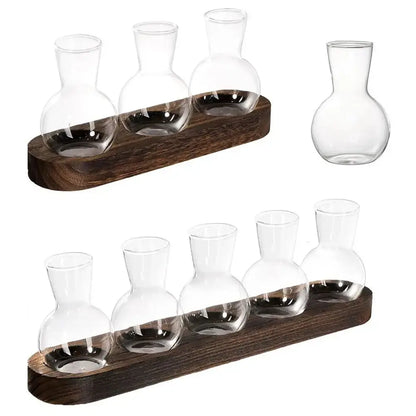 Set of clear hydroponics glass vases with rounded bodies and narrow necks on dark wooden trays by decorbites