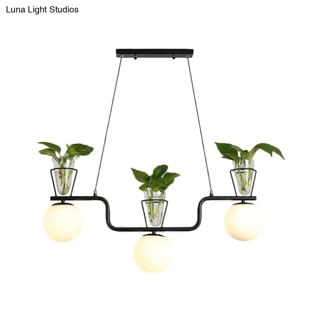 Black metal chandelier with three opal glass globe pendants and clear glass pots holding green leafy plants