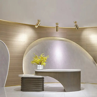 Modern curved reception desk with sleek metallic finish showcased alongside decorbites led ceiling spotlight