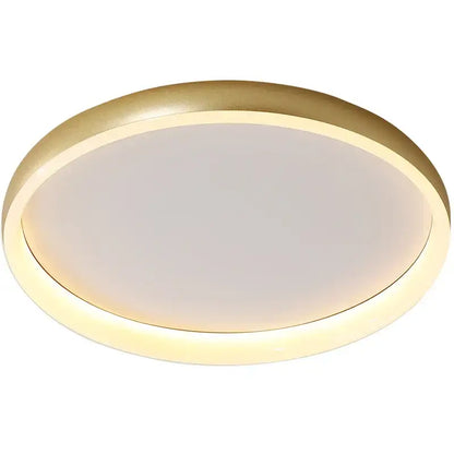 Modern circular decorbites led chandelier lights with gold metallic frame and soft white illumination for home lighting