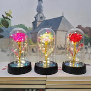 Three illuminated glass-domed eternal rose lights with golden stems and glowing led lights for valentine’s day and weddings
