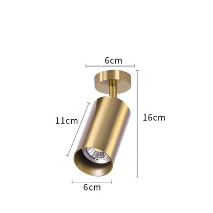 Brass-finished cylindrical decorbites led golden ceiling light with visible led bulb for living and dining rooms