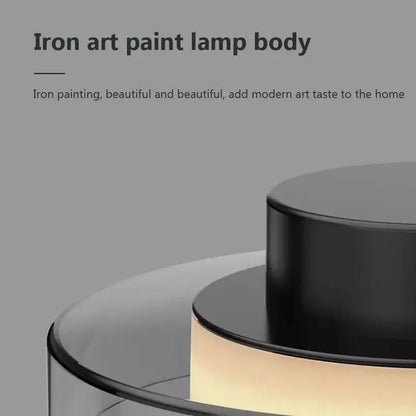 Decorbites led iron acrylic pendant featuring a black iron art paint body with warm ambient lighting for modern interiors