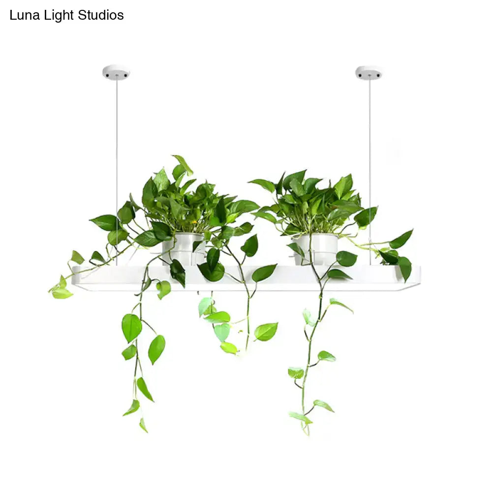 White hanging planter with two green plants suspended from decorbites led island light fixture with warm white light