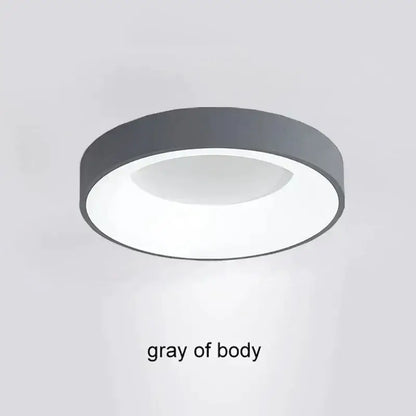 Gray matte finish DecorBites LED Nordic ceiling light with modern design for living room bedroom and study decor
