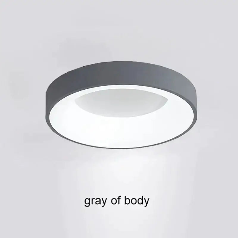 Gray matte finish DecorBites LED Nordic ceiling light with modern design for living room bedroom and study decor