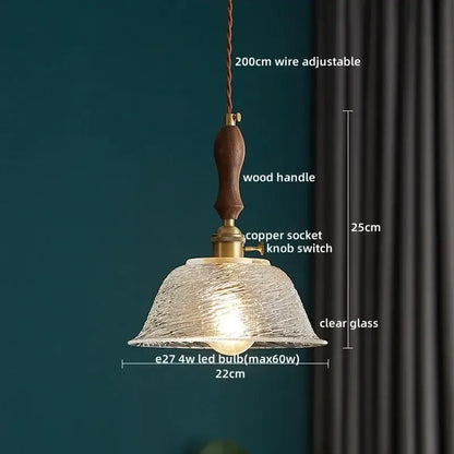 Decorbites led pendant light with textured clear glass shade brass copper socket and dark wood handle on adjustable wire