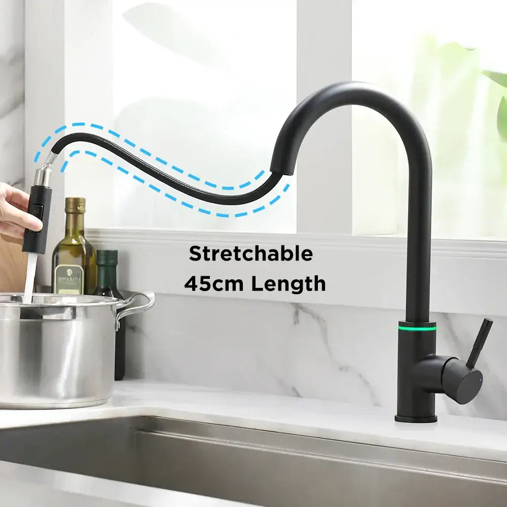 Black matte kitchen faucet with flexible 45cm hose and green accent ring in decorbites led single hole model