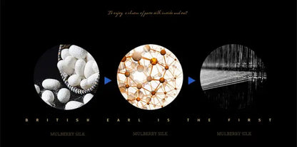 Decorbites™ luxurious mulberry silk bedding set queen king with duvet cover pcs fitted sheet and white silkworm cocoons