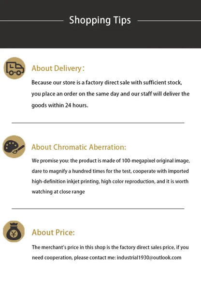 Shopping tips section with icons about delivery chromatic aberration and price for decorbites luxury cars wall art print