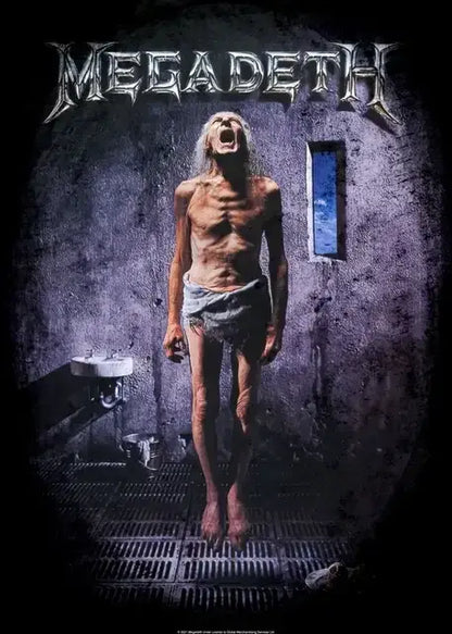 Decorbites megadeth rust in peace canvas poster features purple-toned rock music wall art with a screaming emaciated man