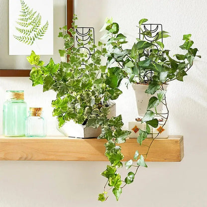 A lush trailing ivy plant with variegated leaves on a green metal garden plant stand for indoor and outdoor growth