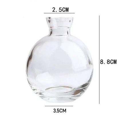 Clear glass spherical vase with short neck and rounded base by decorbites for home decor use