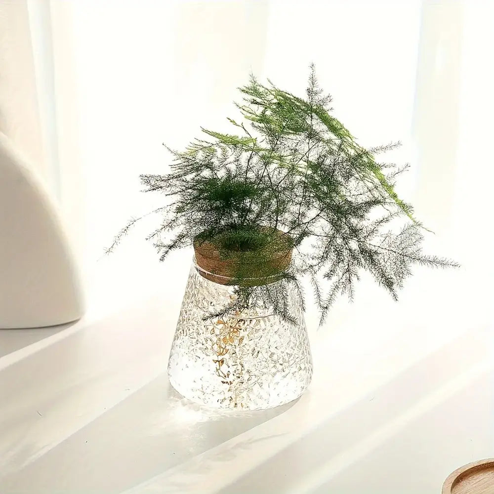 Clear textured glass hydroponic vase with cork lid holding green asparagus fern in decorbites™ mini nordic glass planter tray
