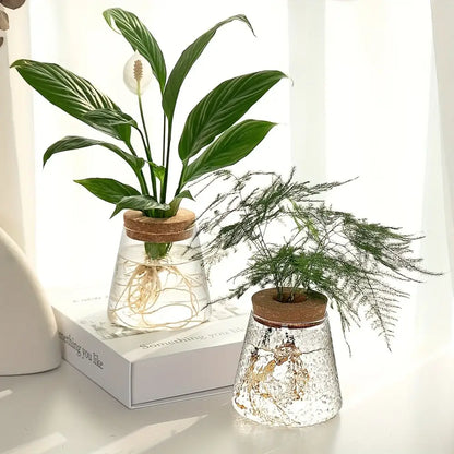 Decorbites™ mini nordic glass hydroponic planter tray with clear glass water planters and cork lids holding peace lily and asparagus fern