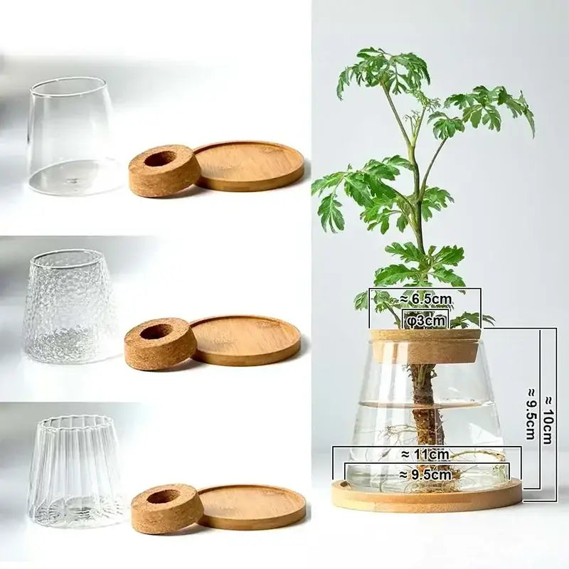Decorbites™ mini nordic glass hydroponic planter tray with clear textured glass, cork lids, and wooden saucers