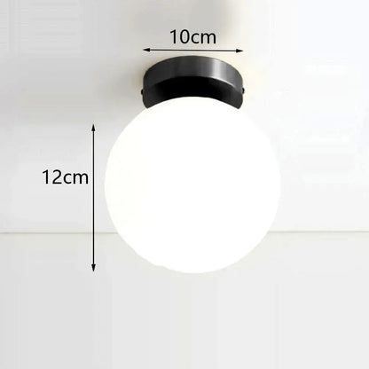 Decorbites modern acrylic ball ceiling light with sleek black finish and frosted globe bulb for home ceiling light use