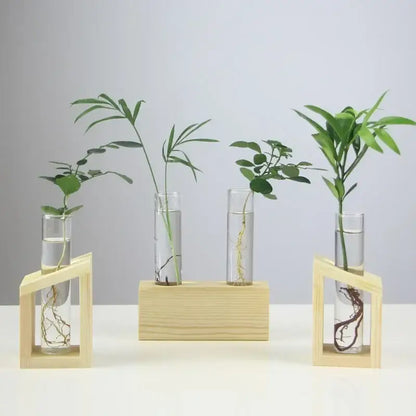 Decorbites modern crystal glass test tube vase set of four clear glass test tube planters with green plants on wood stands