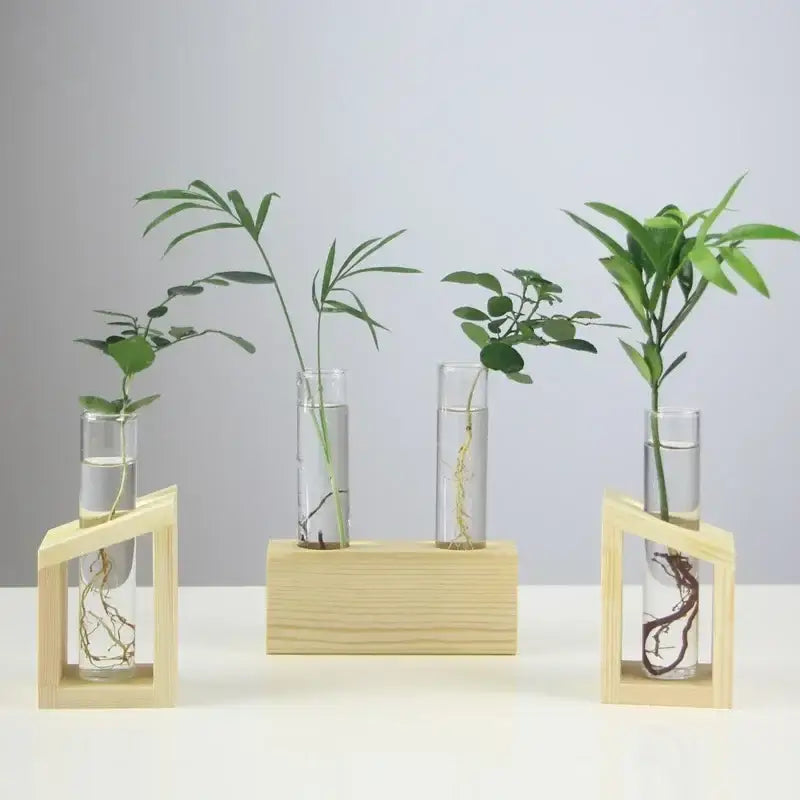 Decorbites modern crystal glass test tube vase set of four clear glass test tube planters with green plants on wood stands